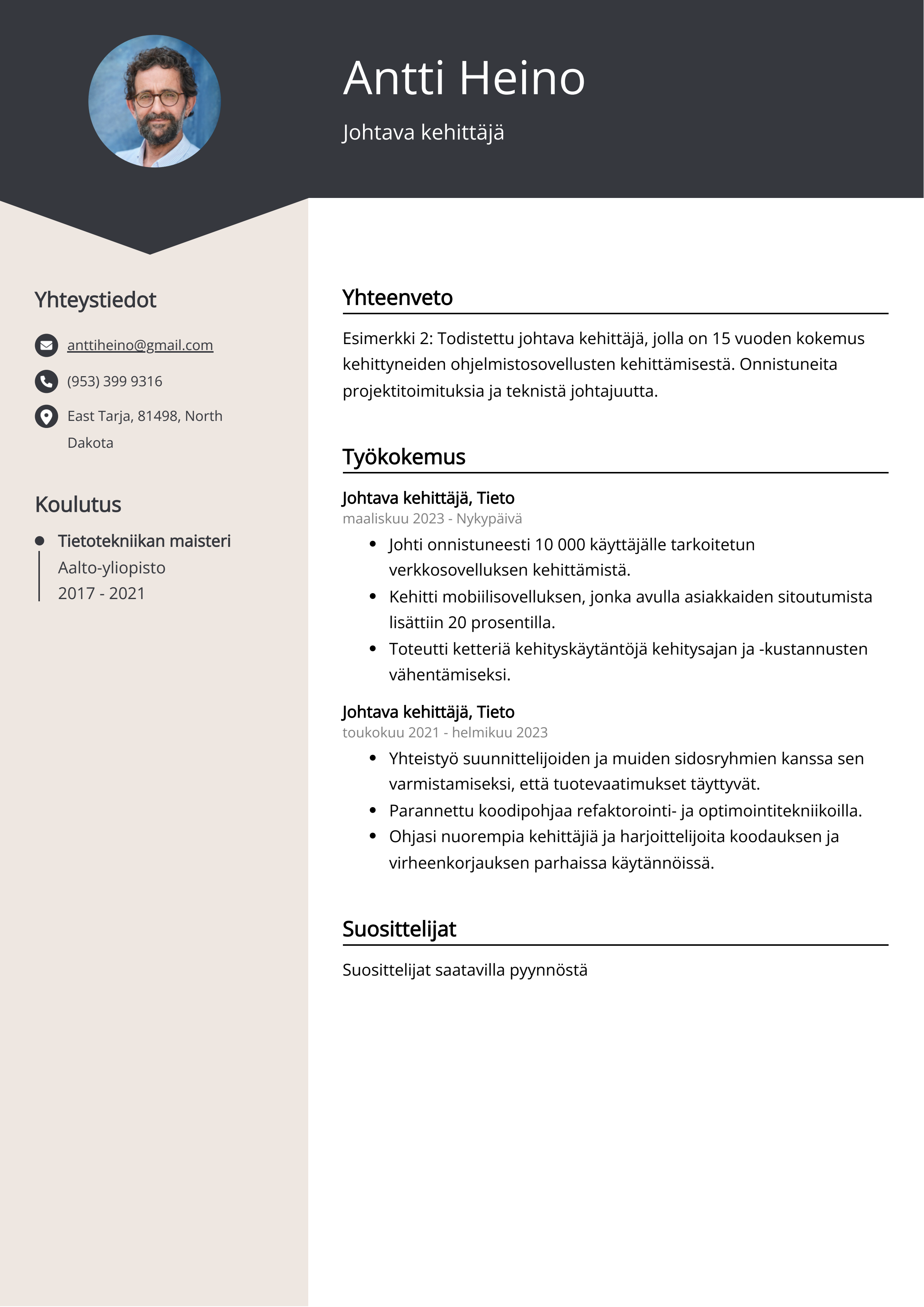 Johtava kehittäjä Resume Example