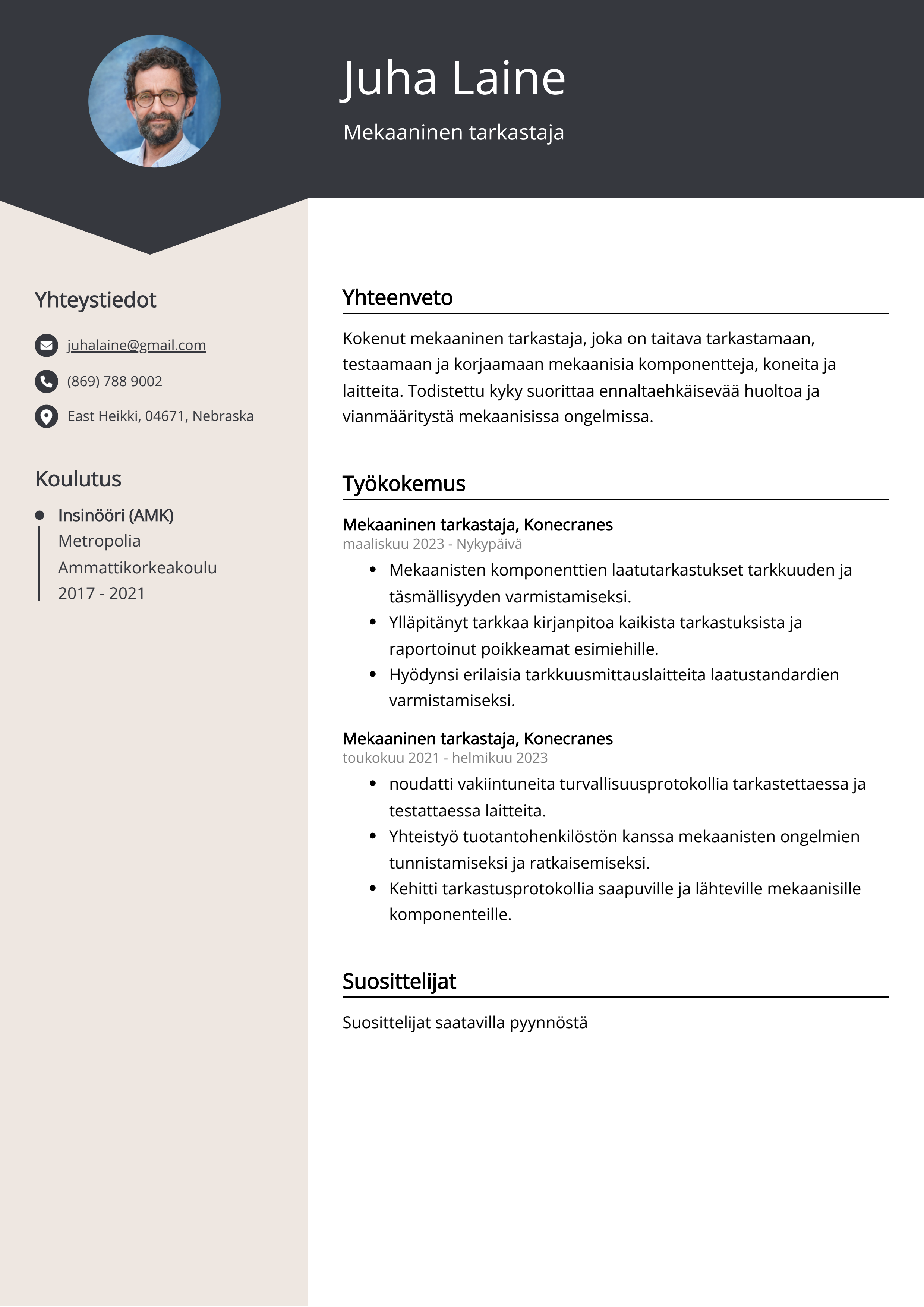 Mekaaninen tarkastaja Resume Example