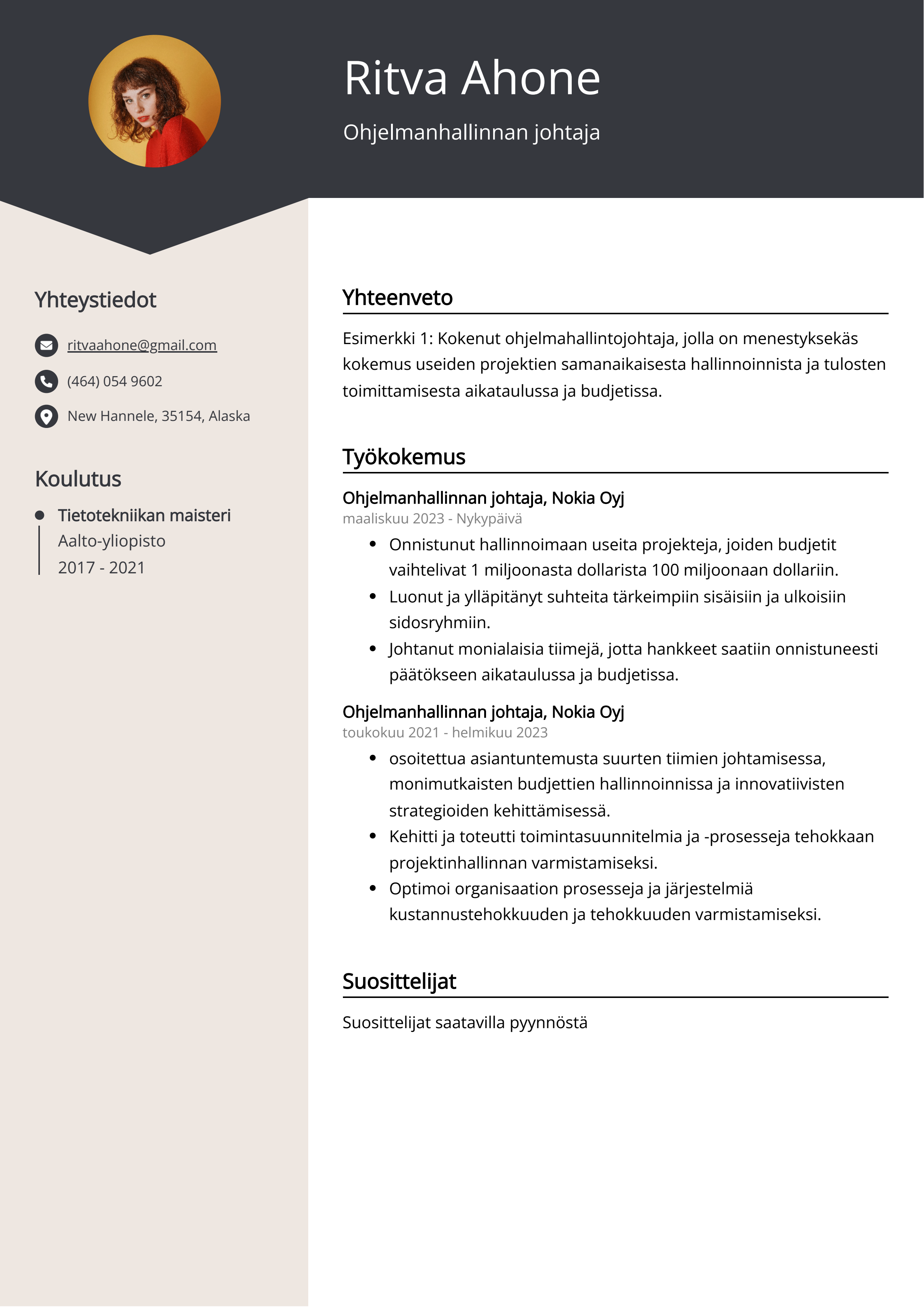 Ohjelmanhallinnan johtaja Resume Example